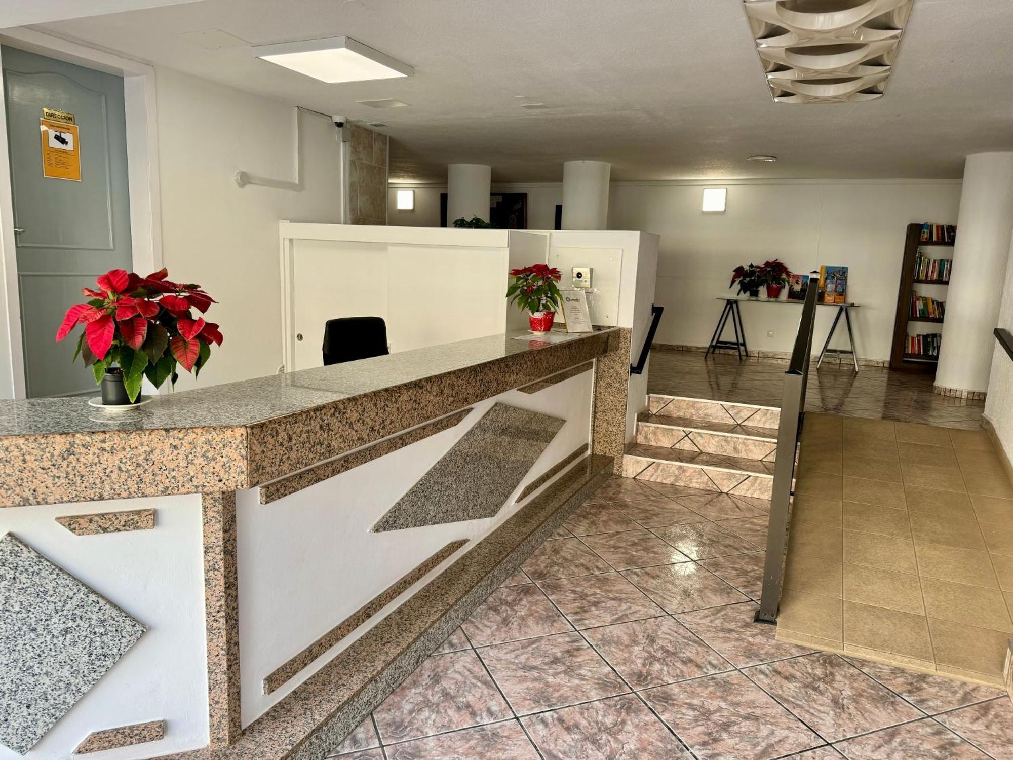 Olympia Palmalicious Apartment Playa de las Américas Extérieur photo